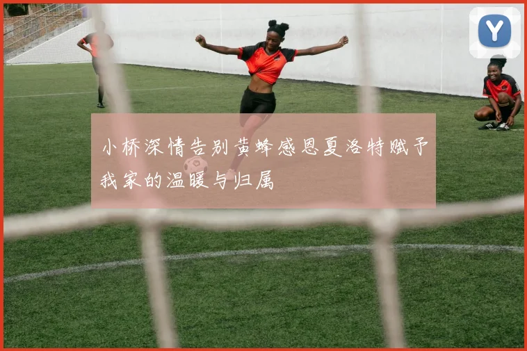 小桥深情告别黄蜂感恩夏洛特赋予我家的温暖与归属