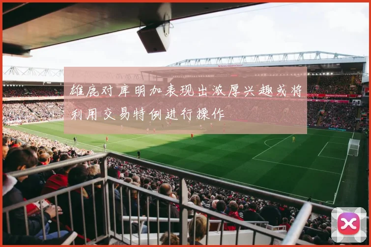 雄鹿对库明加表现出浓厚兴趣或将利用交易特例进行操作